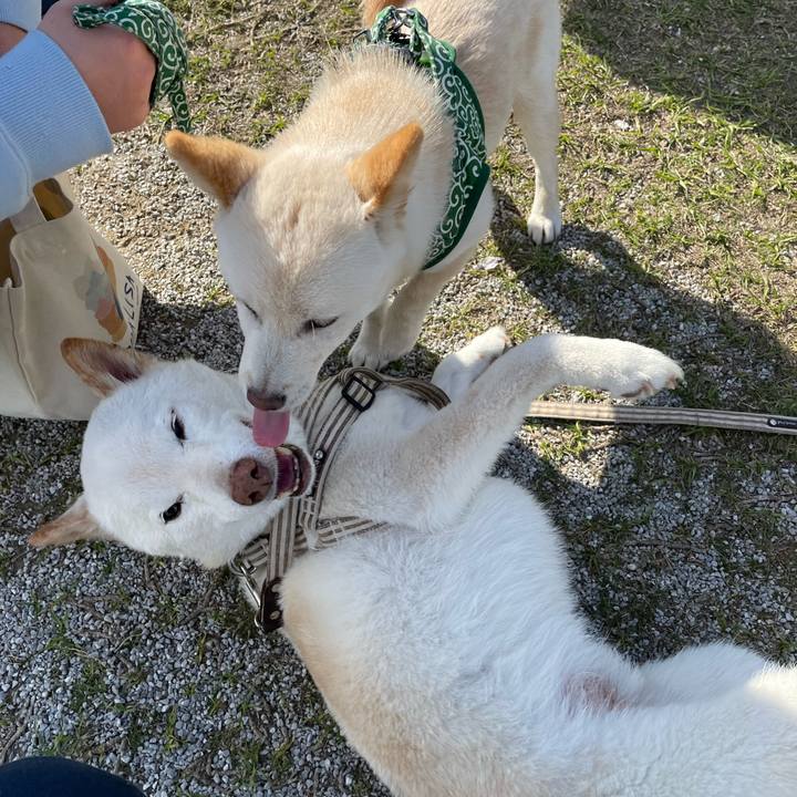 D5601fd5 f74e 4a59 b3f3 d7f82f42220c 1648986925603