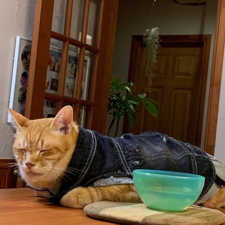 D56043bc f792 4114 b57b 81164c837be2 1654860410047