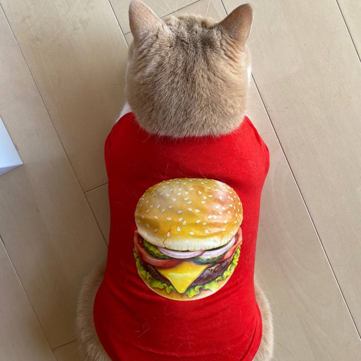 D5604b16 9f18 499a acb1 87768b6990ca 1602731626229