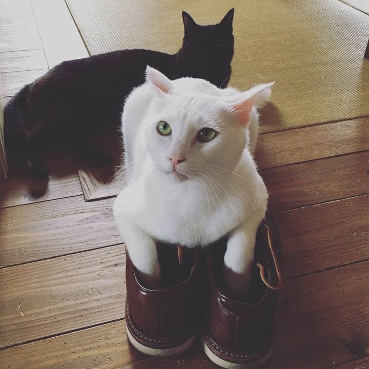 D5605d87 0f6c 4445 af5b 62227a6ea8ef 1531020236784