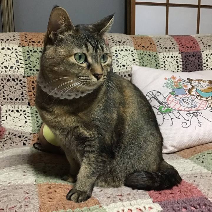 D5606752 e560 41b6 93dc 46c760634446 1740216478534