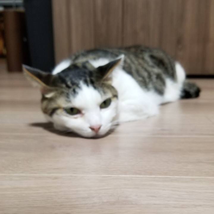 D56087e4 a8e5 4b72 b26f 436901785c7a 1553226372588