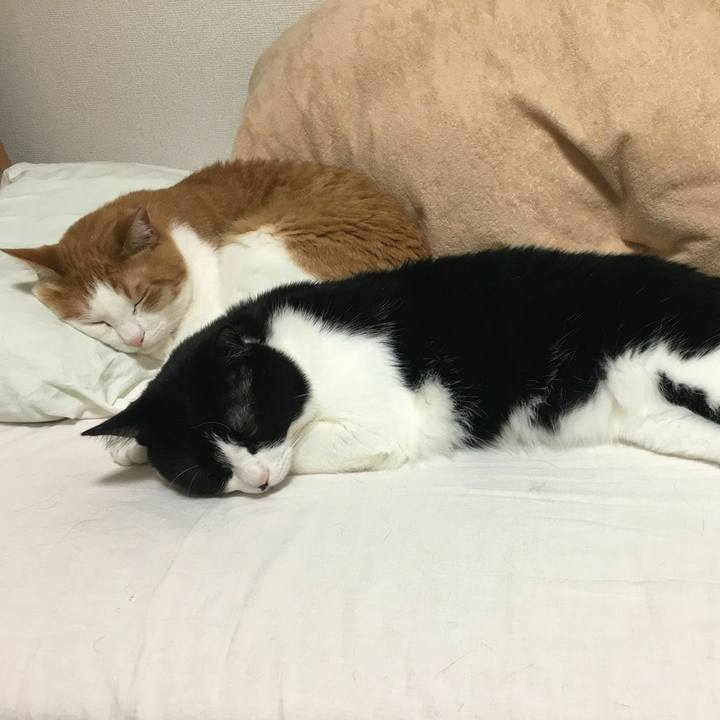 D560a2a8 e120 4143 a886 16461ef2ac6c 1560493694732