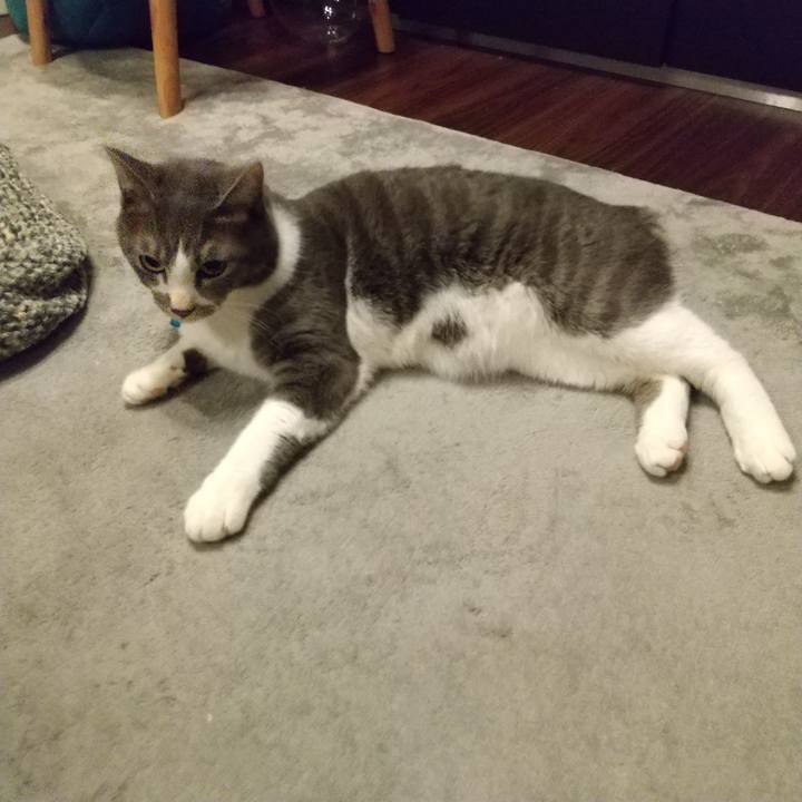 D560aecb e980 4beb a0d5 e6d42fb3b356 1613392363986