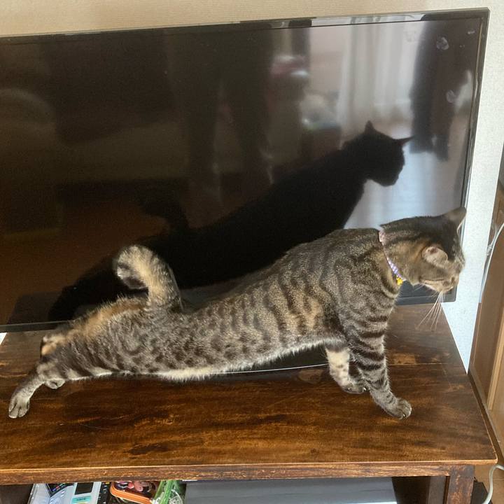 D560b668 d26f 4284 86e4 eca4766d7ca2 1603348092370