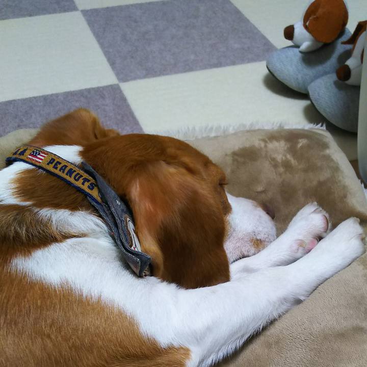 D560ba60 ddb7 4a2e 9861 bf728cdadbcd 1554549680533