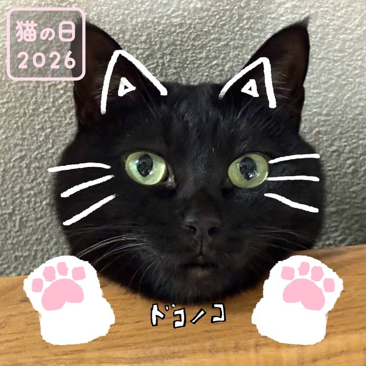 D560ec7f 2de6 477c a0b3 f215633ade25 1771750776296