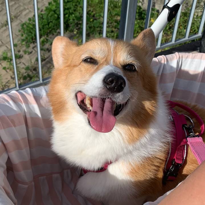 D56109fe e99c 4b67 a0bf 951b82e3f205 1722296111302