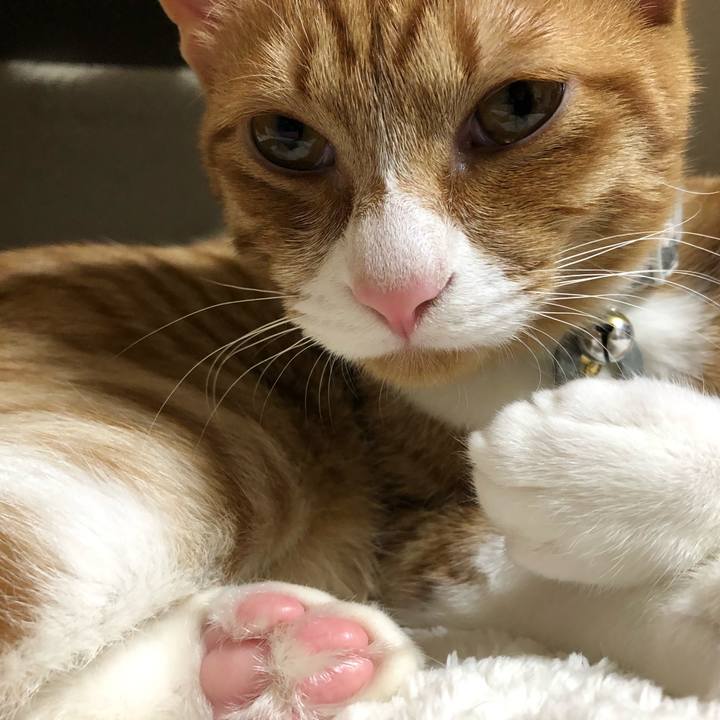 D5612248 5053 4897 9447 ccad1e88290b 1551429578424