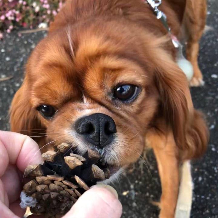 D5612890 0e6d 491a a3ee c1d059413074 1573297977777