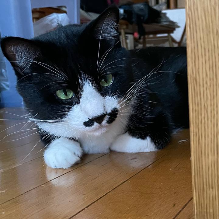 D56129bb 16be 41b2 b391 db919b5ad9fd 1656727366541