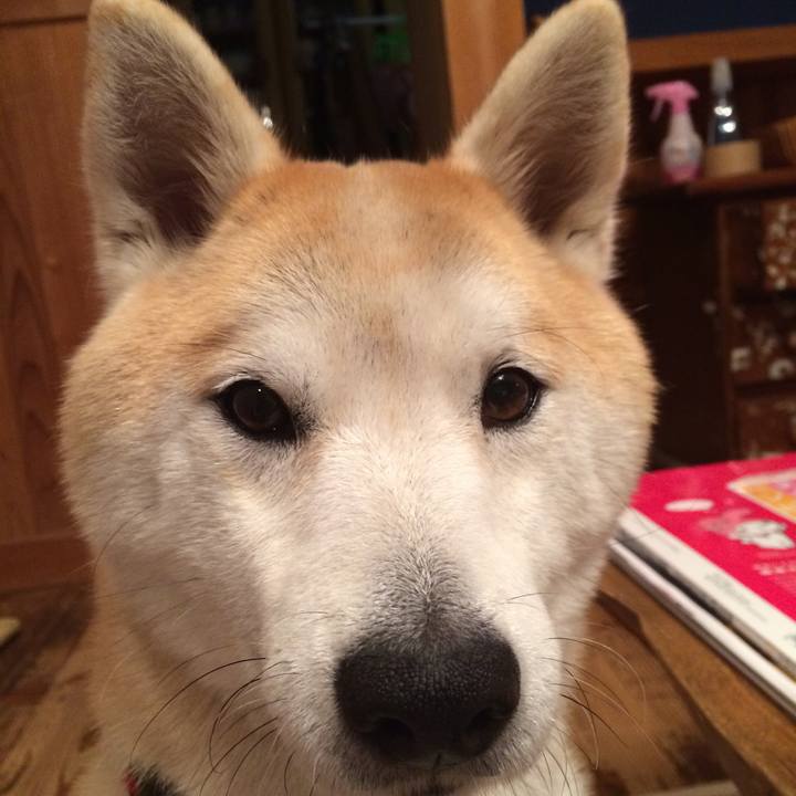 D561453a 0233 45e4 8693 dd8bd98d4073 1606261830904