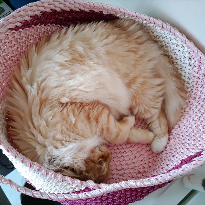 D5618cec 5846 4391 882e 5c2ba0191c23 1654907649111