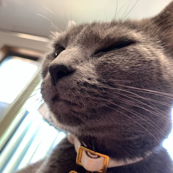 D561bad5 c838 4801 a86e 9463ddb6d839 1630135236927