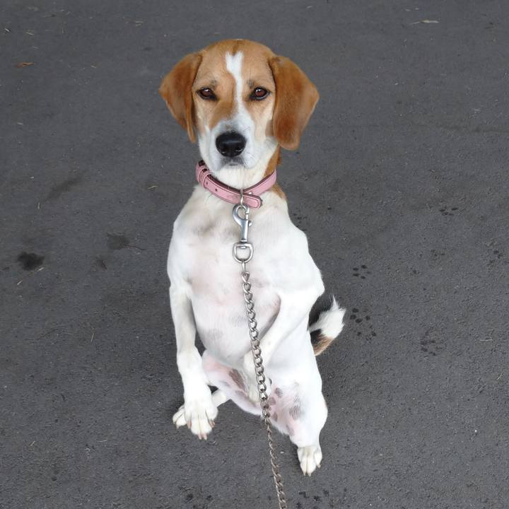 D561bf50 4f89 4470 95ad 1a50189992c0 1643984538795