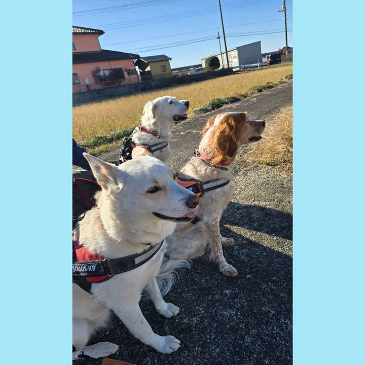 D561c41b b0db 4f17 8207 9476f70ac35e 1733625729782