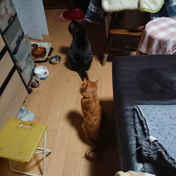 D561c8fc ac0c 4319 a7b2 fd22a7c9500f 1643836581681