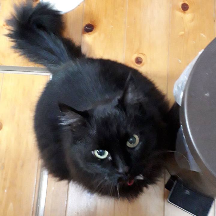 D561e0cf fccc 4d2c ab15 9707b3083d97 1519930057245