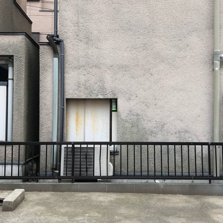 D5622568 7226 463c 8d65 4e01296d6ce8 1552944510706