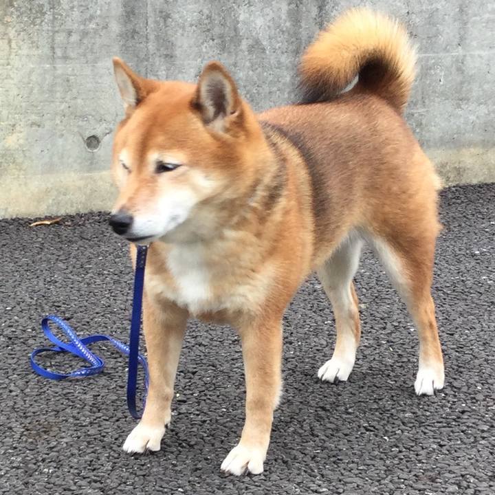 D5622c2b e11d 4e75 b4c0 eefcb114db48 1544432300387