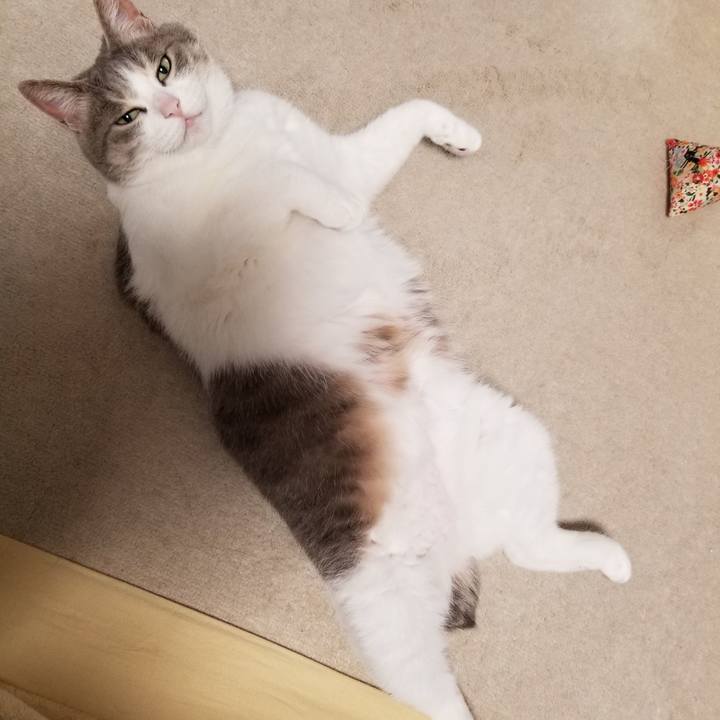 D5624094 a50f 4770 8016 acaa2984e400 1618316045043