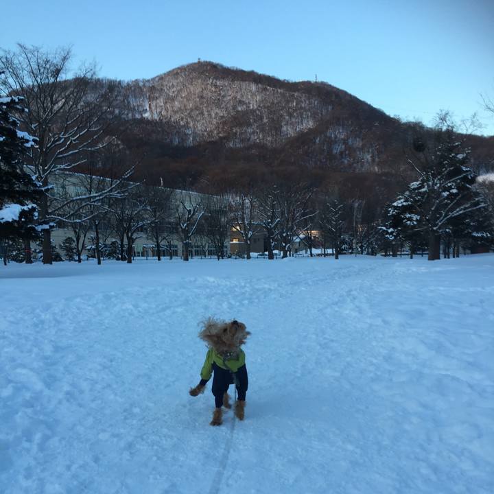 D5624468 7e00 430e bb99 fd92399349c8 1519084002250