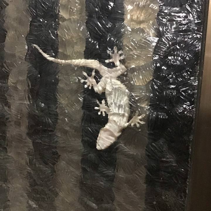 D56268a0 b9b2 4f3a 836a 4052a5c36a7f 1694173487195