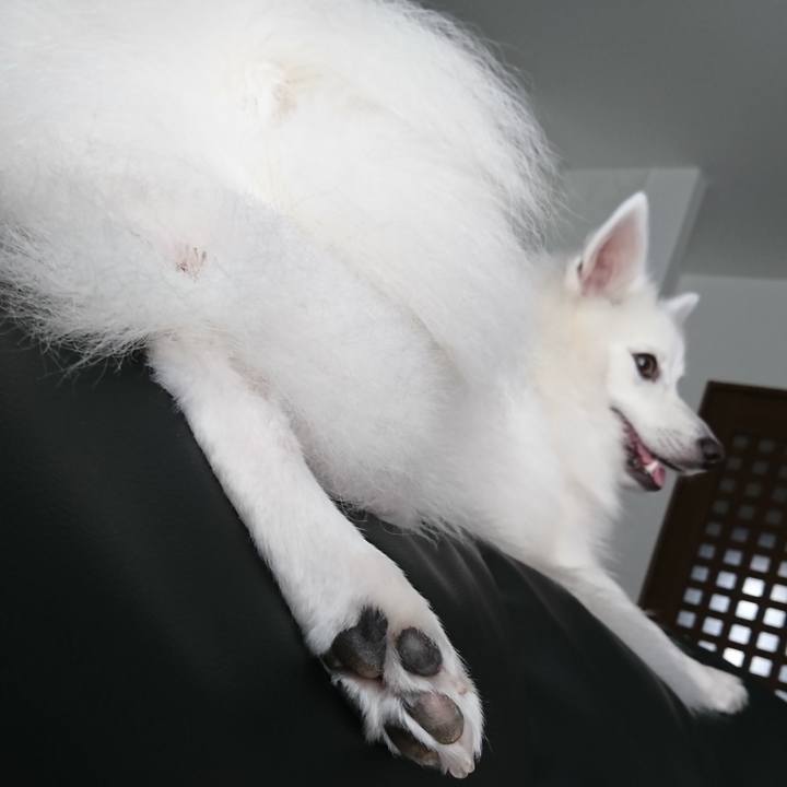 D5628491 2ddc 48af ad14 9150e69f7764 1535772397232