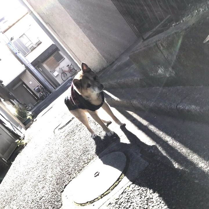 D562f070 c678 4717 8d3b 5ee1c704ba06 1546395528048