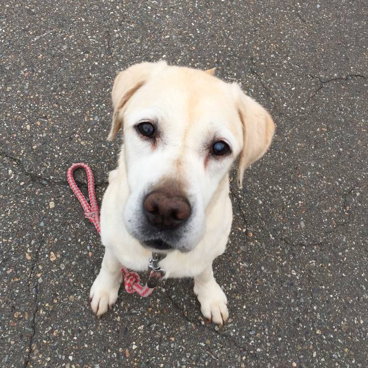 D562facc 0c8c 4dab 9167 d7b89fa65341 1530007400889