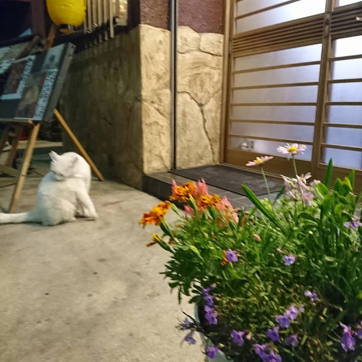 D56334b0 00b4 464c 9b9e f8db911fc576 1527594544856