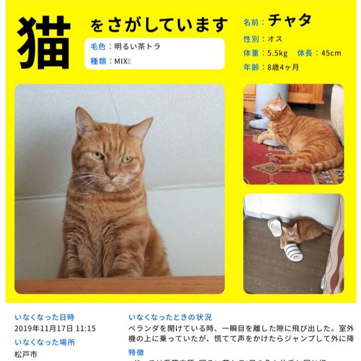 D56335a1 7551 4202 b16f 4a781d64ed40 1574026633502