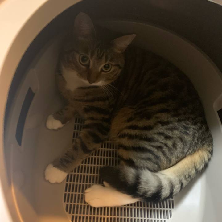 D56340db a44d 468e b7d0 efbaa358f605 1573242618013