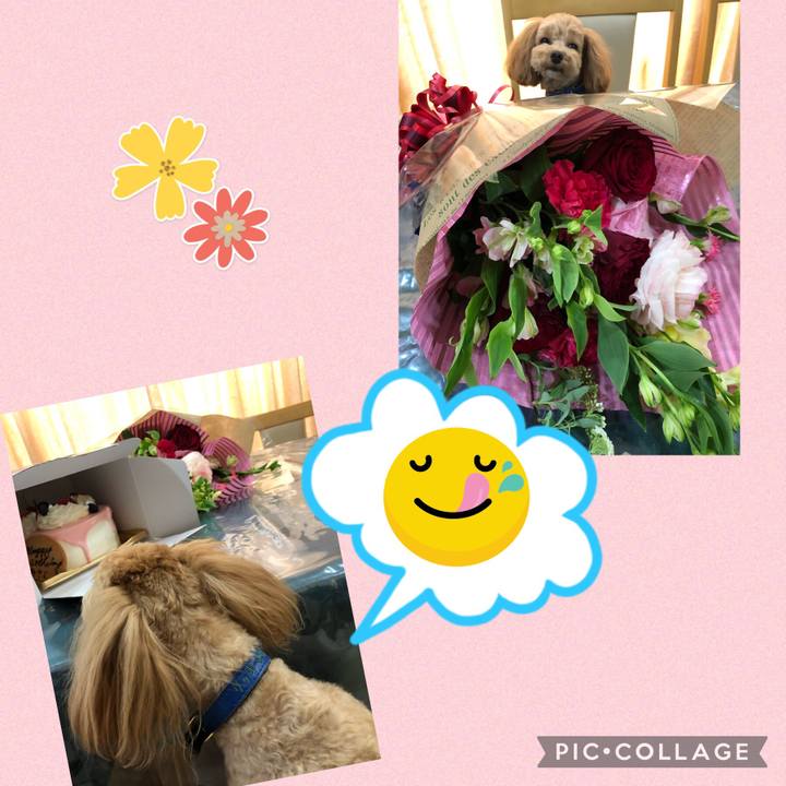 D5635266 9e3a 4c9f afe9 505aa4a99fdb 1649576234141