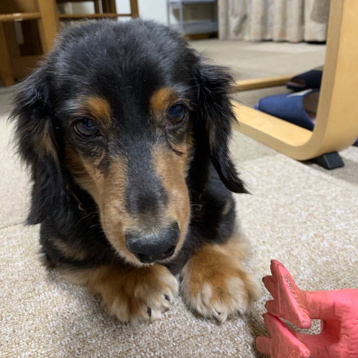 D5636248 73d4 46b9 b78f 59beb4a0f6b6 1574632740299