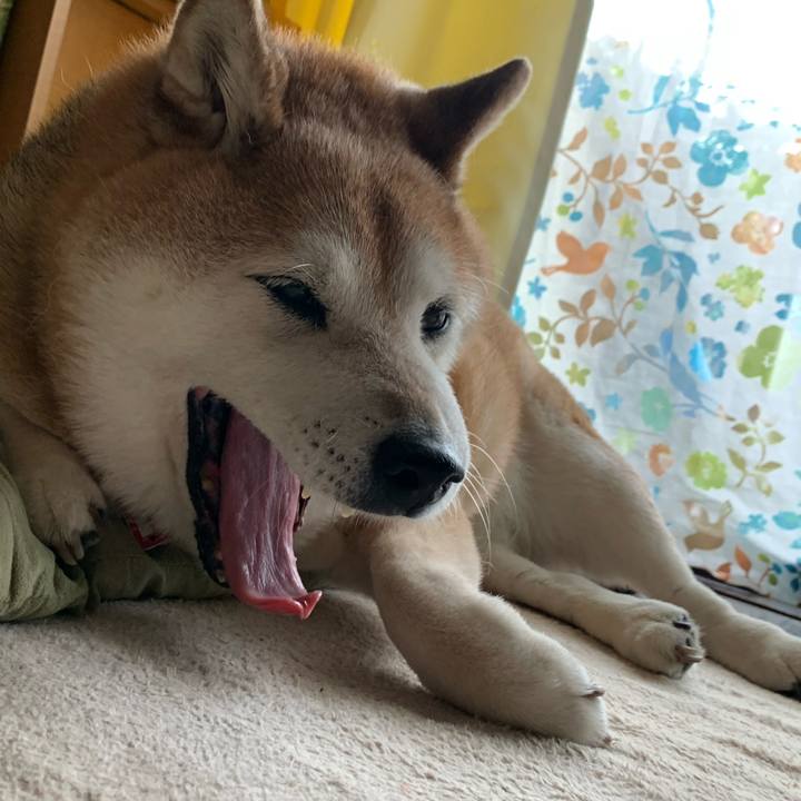 D5637358 121b 4363 babd 6e4bcbc7d0b7 1589705062625