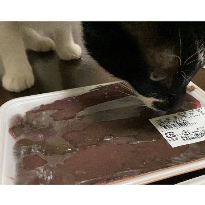 D563a701 df9f 4b0f b784 ce45255dbb9a 1663722959568