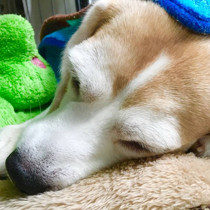 D563e2cc 0e4d 4f18 bd02 787e2a9a30d6 1576553747789