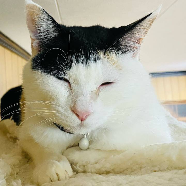 D564066b dfe1 4507 b228 0e7605a55a5a 1679151526641