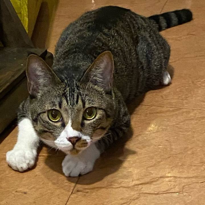 D5645add 369d 41c7 9594 a45706dfbac0 1661850433531