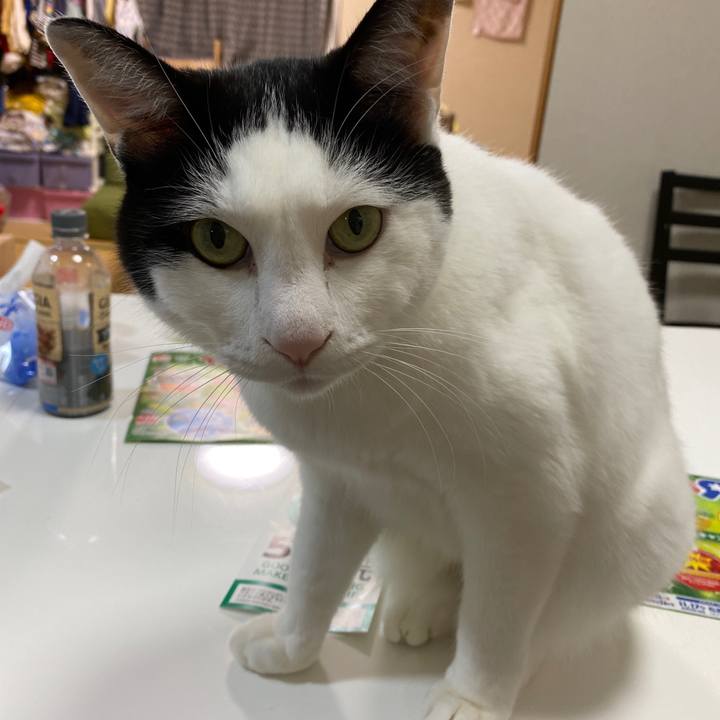 D5648116 db39 4dbf a609 f986e2b2c4c8 1638090481526