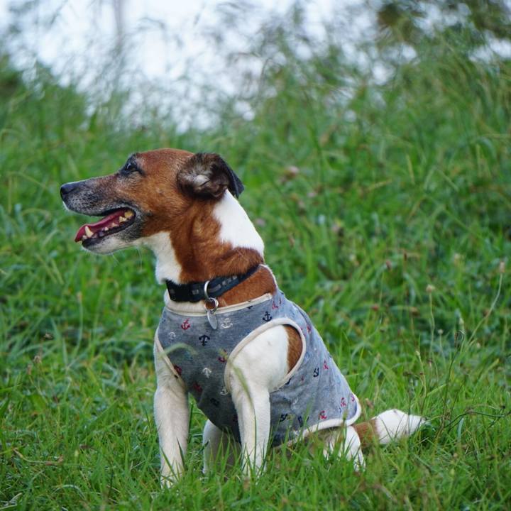 D564934d d0ea 4df9 bd42 a6baf63ab44e 1598312822533