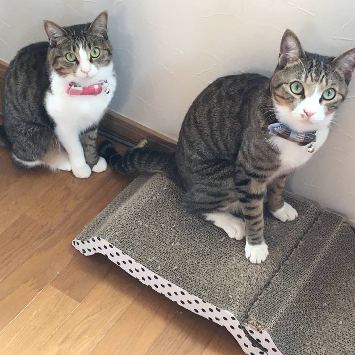 D56494d9 217e 4df6 b654 88c15b71860d 1702855399172