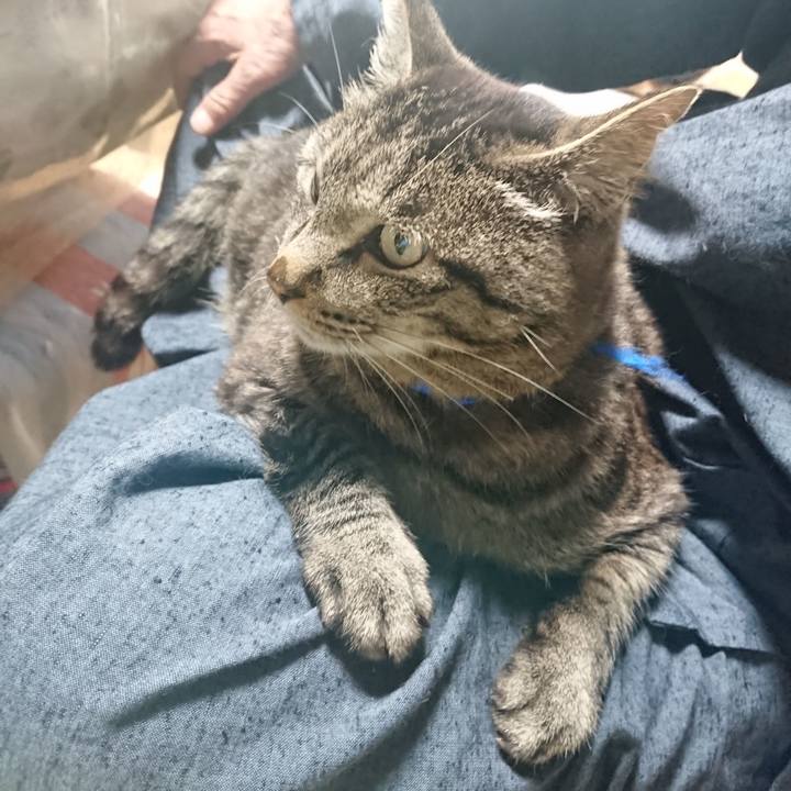 D5654921 b910 4c04 8795 d057fae768b5 1654730400780