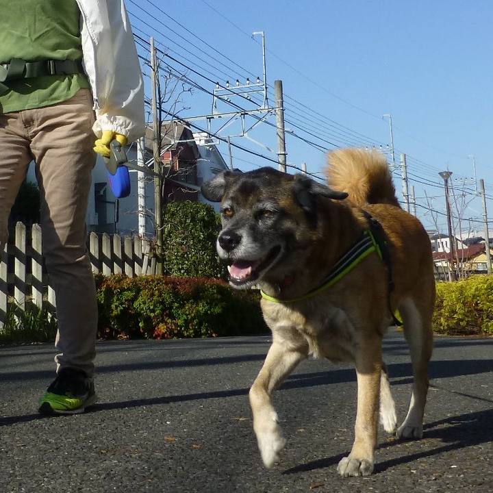 D5657206 7ae1 4333 a16d 86e3bb256ce2 1580993159747