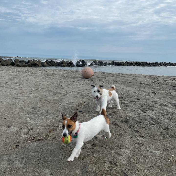 D5659405 f66b 4898 b955 47d4b1a3d23a 1628725403625