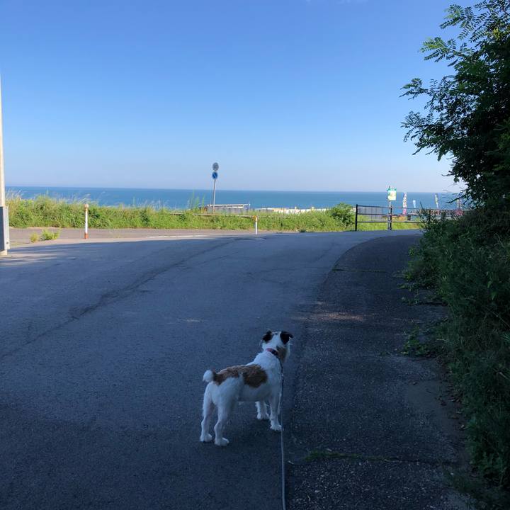 D565a5d3 e929 411d a50d f5baccb834d1 1597097948967