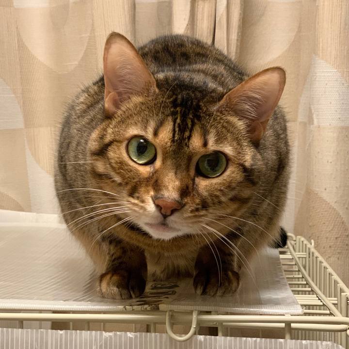 D565b4a2 54b3 42f7 b472 512ac3a1d095 1583538124667