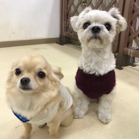 D565b4f2 b6c2 4f87 9212 08777de915ff 1516096908795