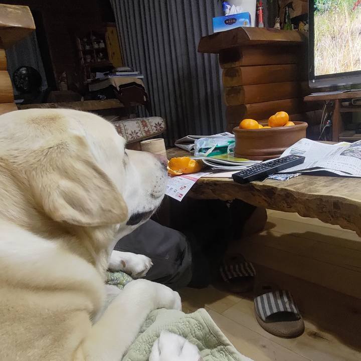 D565d708 8424 43da a80a 1542b82c9cb9 1677556205194